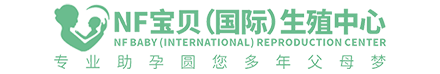 种星网